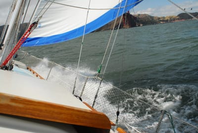 DSC_1015.JPG