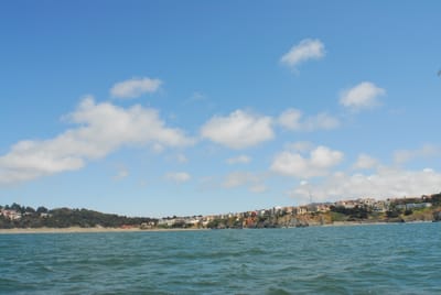 DSC_1039.JPG