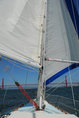 DSC_1045.JPG