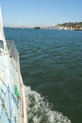 DSC_1077.JPG