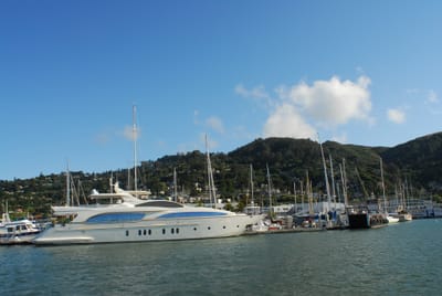 DSC_1078.JPG