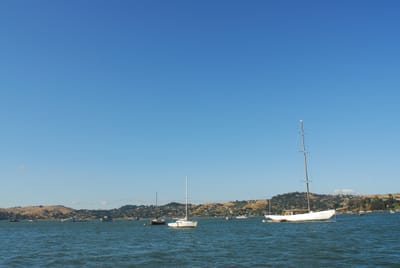 DSC_1079.JPG