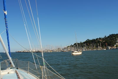 DSC_1080.JPG
