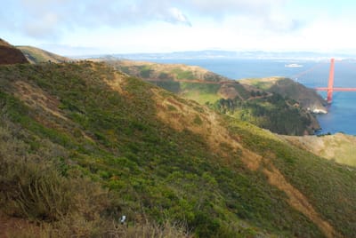 DSC_1082.JPG