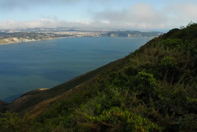DSC_1085.JPG