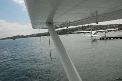 DSC_8534.JPG