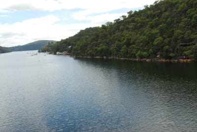 DSC_8583.JPG