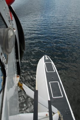 DSC_8587.JPG