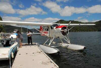 DSC_8593.JPG