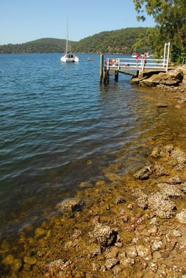 DSC_8609.JPG