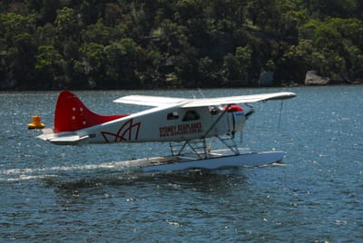 DSC_8612.JPG