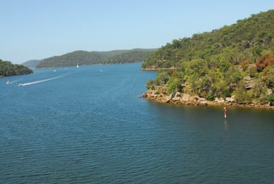 DSC_8615.JPG