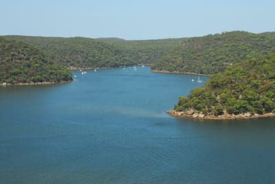DSC_8618.JPG