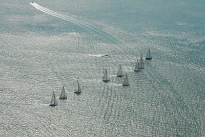 DSC_8667.JPG