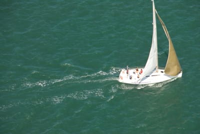 DSC_8681.JPG