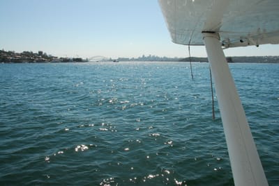 DSC_8686.JPG
