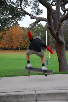 DSC_3982.JPG