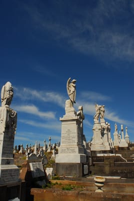 DSC_5506.JPG