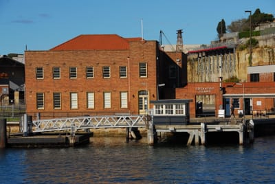 DSC_4202.JPG