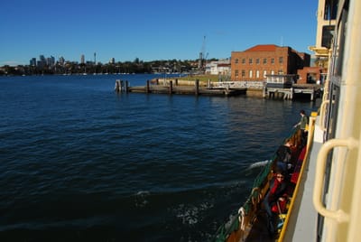DSC_4203.JPG