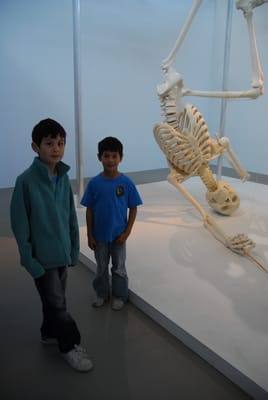 DSC_4230.JPG