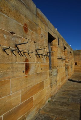 DSC_4249.JPG