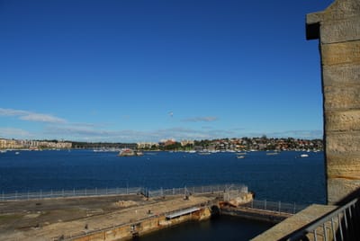 DSC_4255.JPG