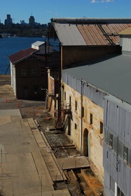 DSC_4266.JPG
