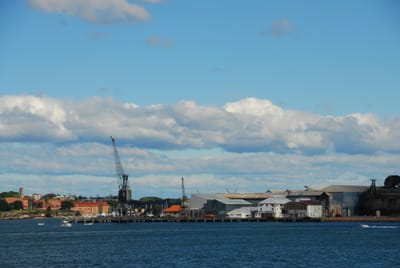 DSC_4276.JPG