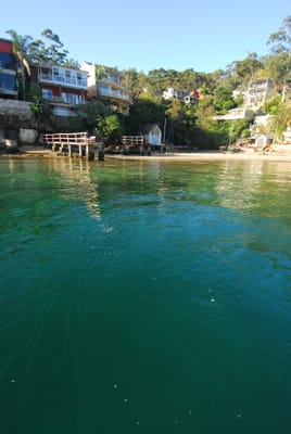 DSC_5590.JPG