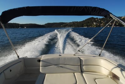 DSC_5595.JPG