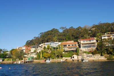 DSC_5596.JPG