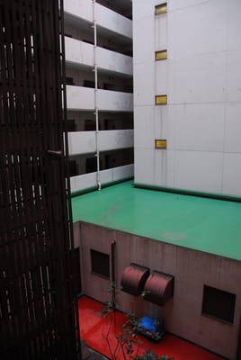DSC_6330.JPG