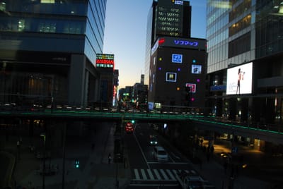 DSC_6335.JPG