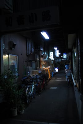 DSC_6338.JPG