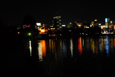 DSC_6371.JPG