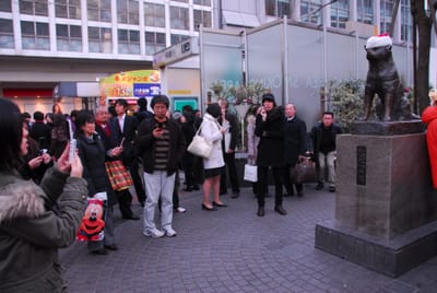 DSC_6415.JPG