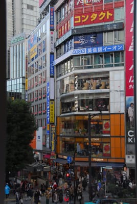 DSC_6421.JPG