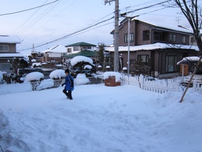 IMG_0183.JPG