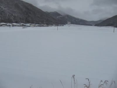 MVI_0087.MOV