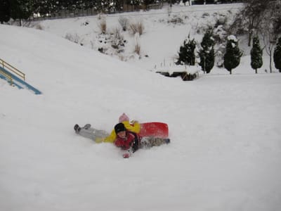 IMG_0245.JPG