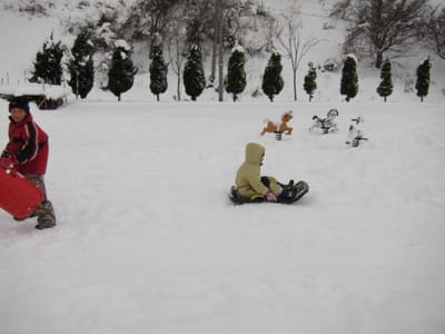 IMG_0246.JPG