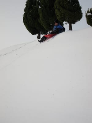 IMG_0272.JPG