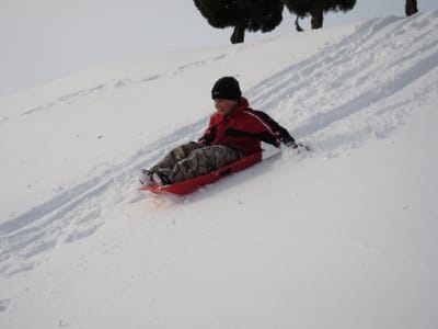 IMG_0275.JPG