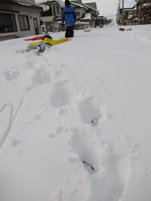 IMG_0279.JPG