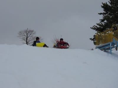 MVI_0247.MOV