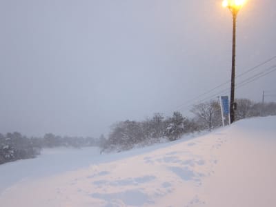 IMG_0307.JPG
