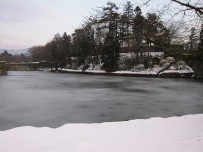 IMG_0403.JPG