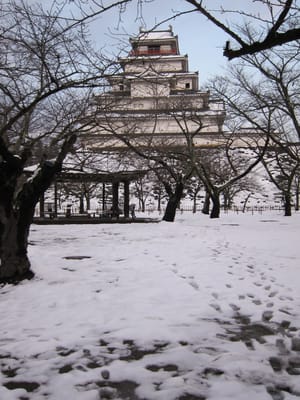 IMG_0404.JPG