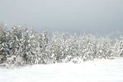 DSC_6465.JPG